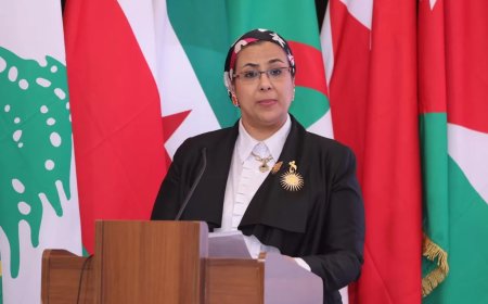 8 توصيات يصدرها إعلان القاهرة فى ختام أعمال المؤتمر العاشر لمنظمة المرأة العربية-    دعم ومساندة للمرأة الفلسطينية الصامدة -بلورة رؤية عربية موحدة في مواجهة العنف السيبراني