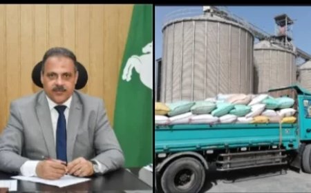 الذهب الأصفر يلمع في الشرقية.. حصاد وتوريد قياسي للقمح وسط دعم حكومي ومتابعة دقيقة