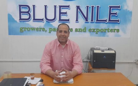 محمود كمال: المحاصيل الزيتية بالأراضي الجديدة ..مشروع واعد لتحقيق الأمن الغذائي