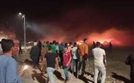 «حجب الرؤية».. اندلاع حريق بهيش في المنيا