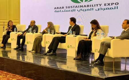 مصر تستهدف رفع نسبة الاستثمارات الخضراء إلى 50% بقيمة 14.7 مليار دولار بحلول 2025