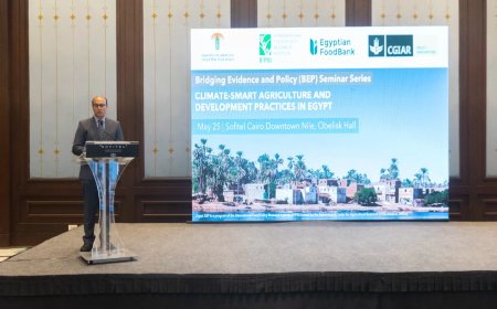 ندوة دولية تبحث مستقبل الزراعة في مصر تحت ضغط التغيرات المناخية