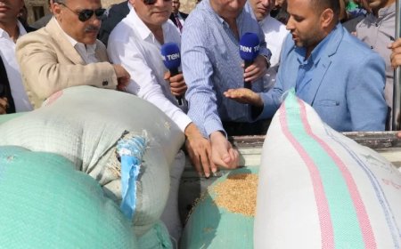 “فاروق”: كمية الاقماح الموردة تجاوزت 3.7 مليون طن حتى اليوم.. وأعمال التوريد لازالت مستمرة