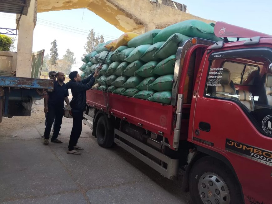 توريد 92 ألف طن قمح بكفر الشيخ منذ بدء الموسم