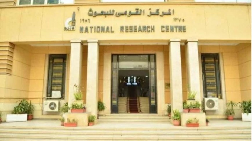 روشتة قومى البحوث للحفاظ علي الجلد من الفطريات والتسلخات    في موسم الحج