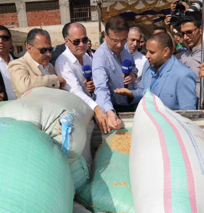 “فاروق”: كمية الاقماح الموردة تجاوزت 3.7 مليون طن حتى اليوم.. وأعمال التوريد لازالت مستمرة