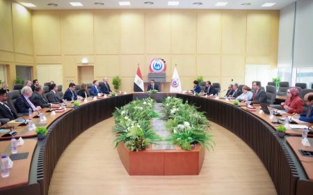 نائب رئيس الوزراء وزير الصحة ..بحث مع التحالف الصحي الألماني تعزيز الشراكة والاستثمار في القطاع الطبي