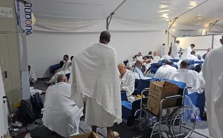 تصعيد  أكثر من  40 ألف حاج “سياحة” إلى عرفات.. لأداء الركن الأعظم ..                 تنظيم حركة ضيوف الرحمن وفق جدول زمني دقيق.. بالتنسيق  مع الجانب السعودى..                 وزير السياحة يتابع تنفيذ خطة تواجد لجان البعثة  بجميع المخيمات  وآليات التعامل الفورى مع أى طارئ أو شكوى