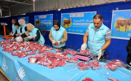 صناع الخير توزع لحوماً وكراتين غذائية على 250 ألف أسرة مستحقة