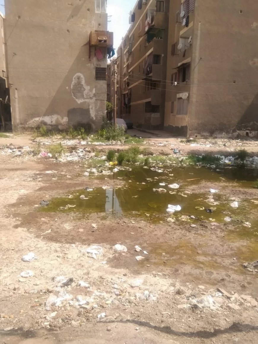 شوارع مدينة طابا بنها تغرق بمياه الصرف الصحى