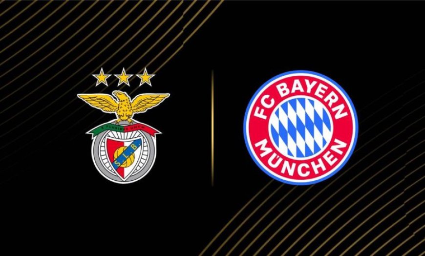 مشاهدة مباراة بايرن ميونيخ وبنفيكا كأس العالم للأندية 2025