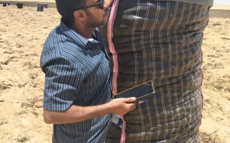 “الزراعة” تواصل متابعة أعمال حصاد البطاطس في المناطق الخالية من العفن البني