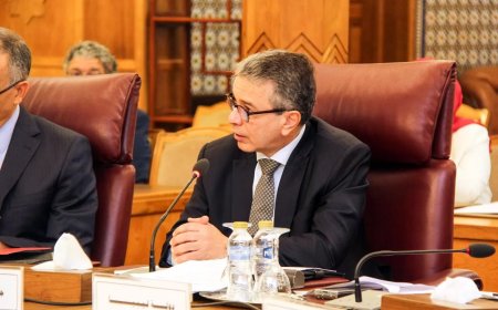 أموى: نتطلع إلى استراتيجية عربية مشتركة للتعاون  الجمركى والإدارى
