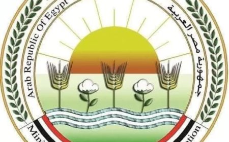 “الزراعة” تصدر 13 ألف ترخيص تشغيل لمشروعات الإنتاج الحيواني والداجني خلال عام