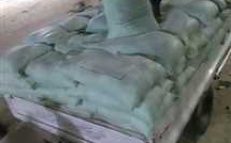 لـ التصدي لمحاولات التلاعب بأسعار الخبز.. ضبط  8 أطنان دقيق مدعم في حملات خلال 24 ساعة