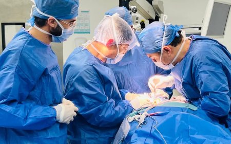 فى المؤتمر الأول للتميز السبكي: إجراء 32 عملية جراحية كبرى في جراحات المخ والأعصاب واستعدال العمود الفقري وأورام المخ المتقدمة بمشاركة خبراء دوليين من كوريا وإسبانيا وتركيا
