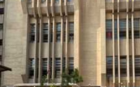 لاستعراض القوة والتلويح بالعنف.. المشدد 20 عامًا لأربعة أشقاء فى شبرا الخيمة