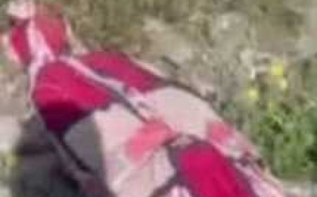 جهوده أمنية مكثفة بـ كفر الشيخ لكشف غموض العثور على جثة قرب كوبري «نمرة 4»