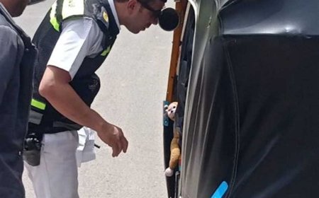 بينها قيادة تحت تأثير المخدر.. ضبط 320 مخالفة مرورية في القاهرة