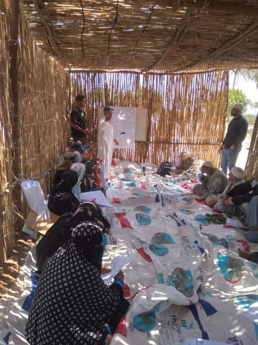 “بحوث الصحراء” يطبق لأول مرة تقنية السونار لتعزيز انتاجية الثروة الحيوانية بحلايب والشلاتين