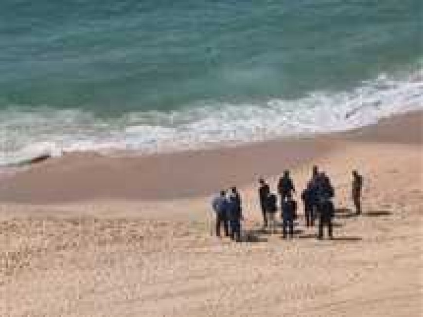 العثور على جثة متحللة مجهولة الهوية في شاطئ السلوم