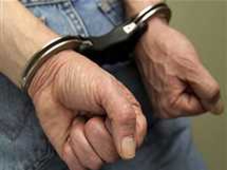 لمست أجزاء من جسدها.. اعترافات سائق تحرش بسيدة فى البساتين