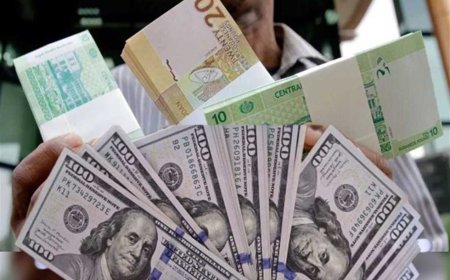 بـ8 ملايين جنيه.. «الداخلية» توجه ضربات أمنية لـ«مافيا الاتجار بالدولار» في المحافظات