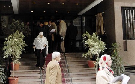 في دعوى «حجر» على والده أمام محكمة الأسرة.. طالب جامعي: عايز أحمي أمي قبل ما تتحط في كفن