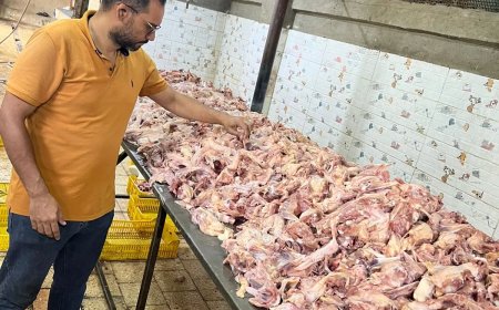 ضبـط 13 طن لحوم ودواجن فاسدة بعدة أحياء بالجيزة