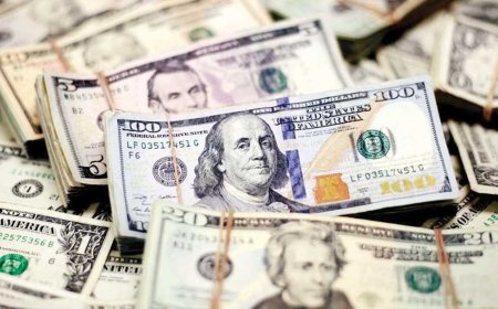 ضبط 4 ملايين جنيه حصيلة الإتجار بالعملة خلال 24 ساعة