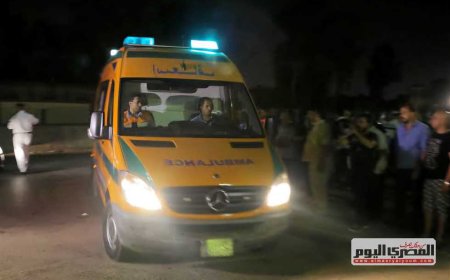 مصرع شخصين وإصابة آخر في حادث قطار بمحافظة البحيرة