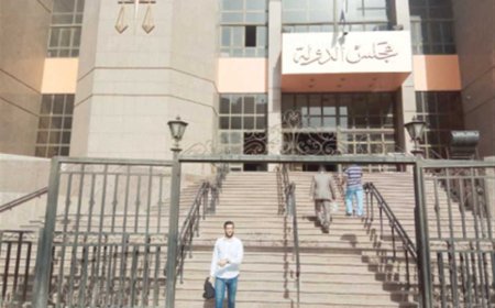 مجلس الدولة ينظر الدعوى المطالبة بعدم دستورية مواد بقانون التأمين الاجتماعي