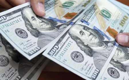 ضبط 22 مليون جنيه حصيلة تجارة العملة خلال 24 ساعة