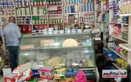 ضبط سلع غذائية ومبيدات مجهولة المصدر خلال حملات موسعة في كفرالشيخ