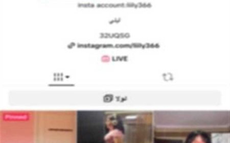 لنشرها مقاطع فيديو خادشة للحياء ومنافية للآداب العامة.. «الداخلية» تضبط  البلوجر «لي لي»