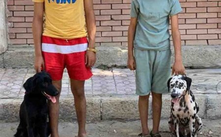 «الداخلية» تكشف تفاصيل فيديو اعتداء بـ«سلاح أبيض وكلبين» في الإسكندرية