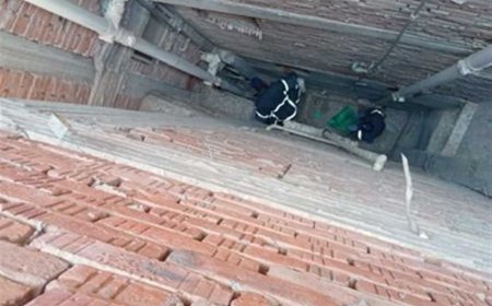 الشرطة تتحرك لإنقاذ «قطة» في المنوفية (صور)