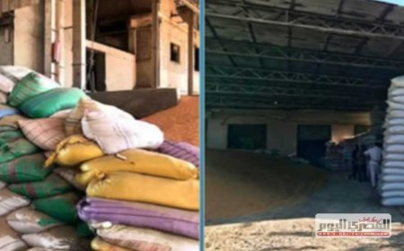 ضبط مصنع ومخزنين غير مرخصين للأعلاف والأسمدة والمبيدات بدسوق في كفرالشيخ
