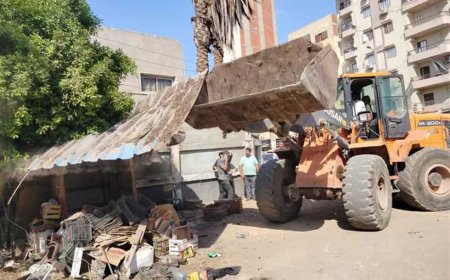 غلق وتشميع 25 منشأة مخالفة خلال حملة في مدينة السادات بالمنوفية