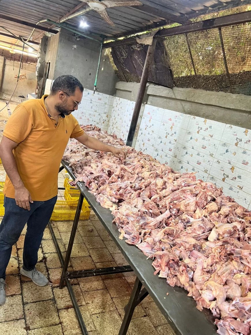 ضبـط 13 طن لحوم ودواجن فاسدة بعدة أحياء بالجيزة
