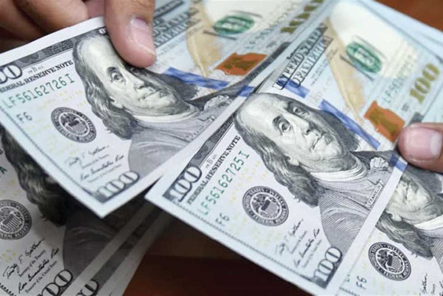 ضبط 22 مليون جنيه حصيلة تجارة العملة خلال 24 ساعة