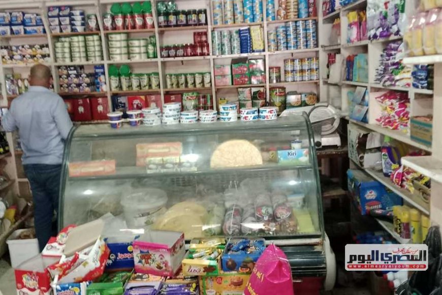 ضبط سلع غذائية ومبيدات مجهولة المصدر خلال حملات موسعة في كفرالشيخ