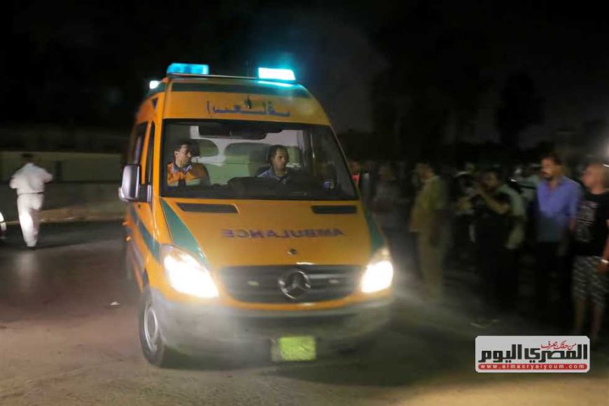 للمرة الثانية خلال 24 ساعة.. كلب ضال يعقر 12 شخصا بالعجمي غرب الإسكندرية