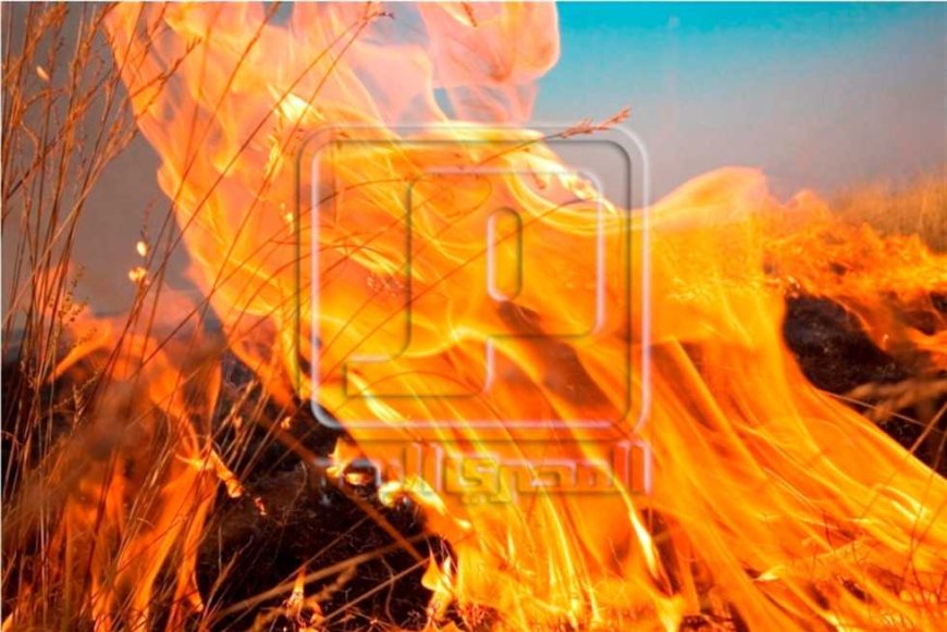 إصابة 4 أشخاص في حريق هائل داخل فرن بالغربية