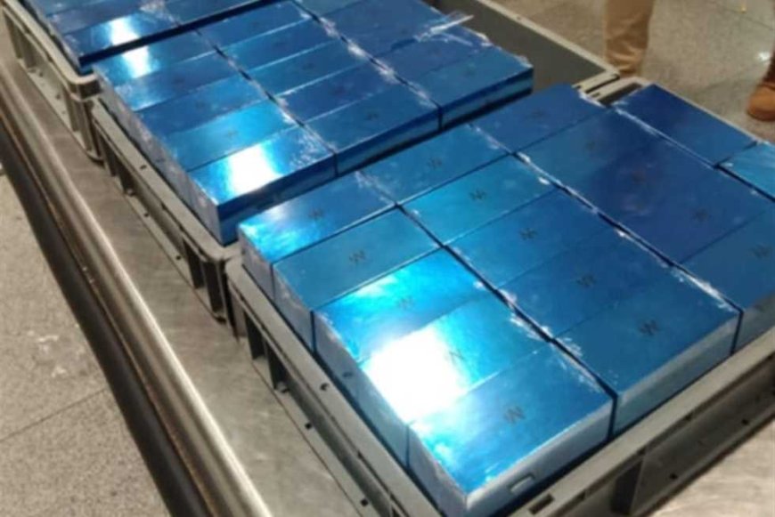 إحباط محاولتي تهريب مستحضرات تجميل وأقراص مخدرة عبر مطار برج العرب (صور)