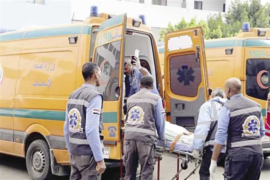 إصابة 11 شخصا في 3 حوادث طرق متفرقة بأسوان