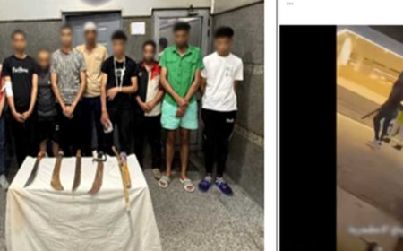 «تحرش وتراشق بالحجارة».. «الداخلية» تكشف ملابسات مشاجرة الأسلحة البيضاء في الإسكندرية