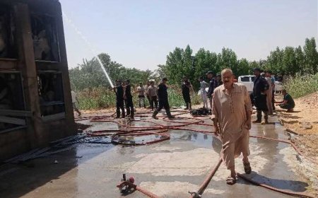 حريق بمزرعة دواجن في الوادي الجديد