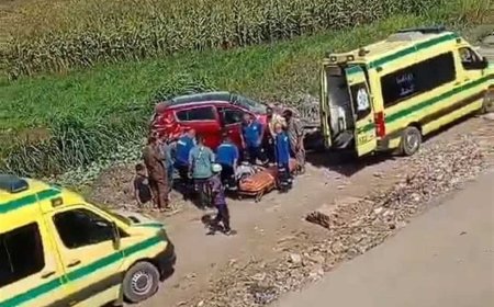 إصابة 3 أشخاص إثر سقوط سيارة من أعلى الطريق الحر في القليوبية