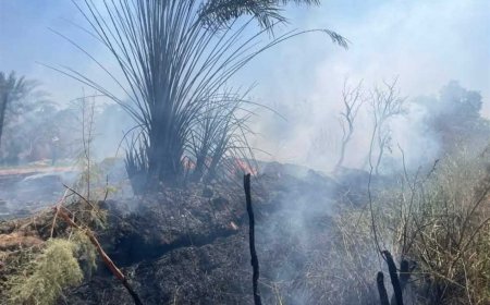 السيطرة على حريق بمنطقة زراعية بقرية ناصر الثورة في الوادي الجديد